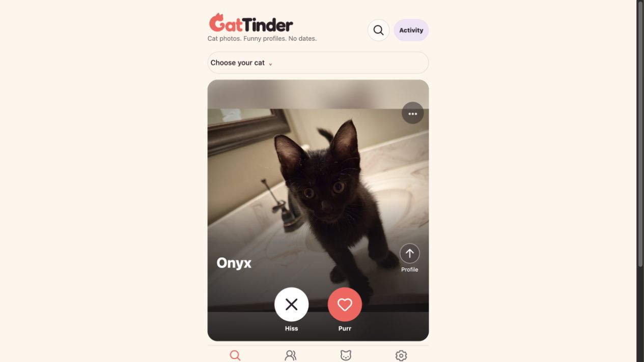 Cat Tinder’s cat profile and photo browsing interface